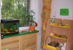 Kącik przyrodniczy. Dzieci mogą w każdej chwili obejrzeć przyrodnicze eksponaty przez szkło powiększające, ułożyć najróżniejsze układanki związane ze światem zwierząt i roślin. Nad małymi przyrodnikami czuwają rybki