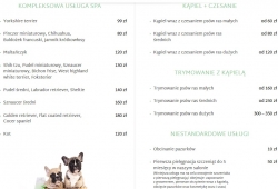 Strzyżenie psów, trymowanie, pielęgnacja w ChiChi Dog - cennik 