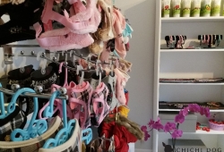 Najwyższej jakości kosmetyki i produkty lecznicze dla psów, markowe szelki, smycze oraz ubrania dla psów