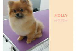 Moly po pielęgnacji w SPA...