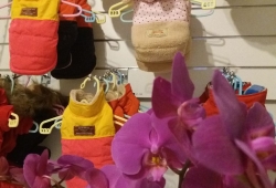 Eksluzywne artykuły dla psów do kupienia w ChiChi Dos