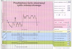 Rys. 4 - przykładowa karta obserwacji cyklu miesiączkowego